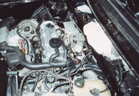 assmann_homepage010001.jpg